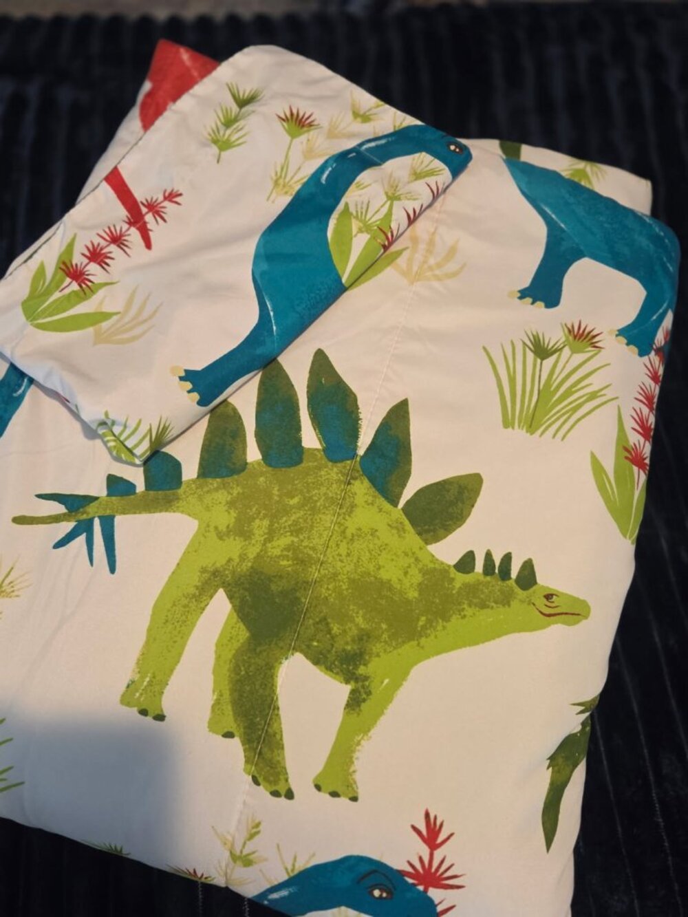 Twin Dinosaur Kids Comforter Bedding